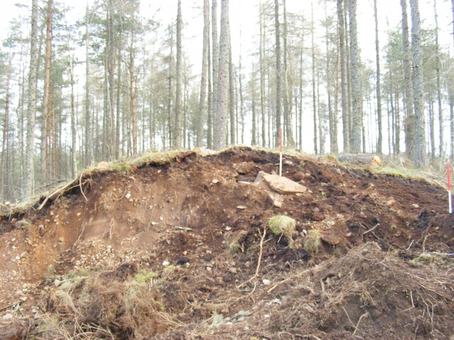 EHG4161_10.jpg