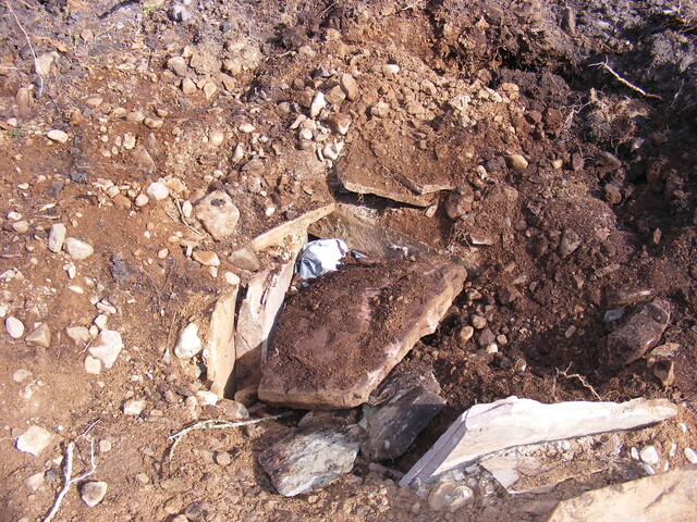 EHG4161_17.jpg