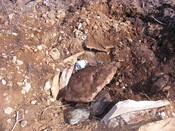 EHG4161_17.jpg