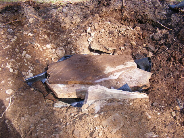 EHG4161_19.jpg