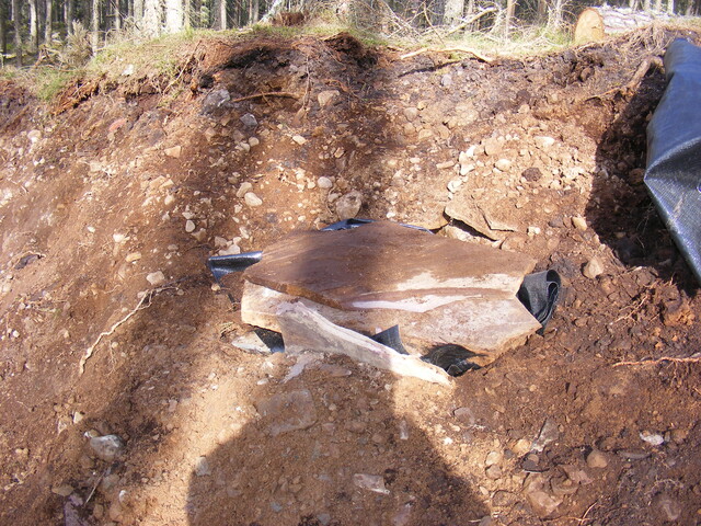 EHG4161_20.jpg