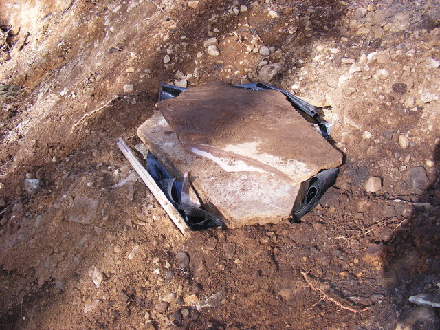 EHG4161_21.jpg