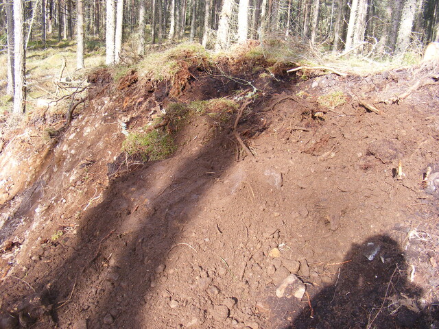 EHG4161_24.jpg