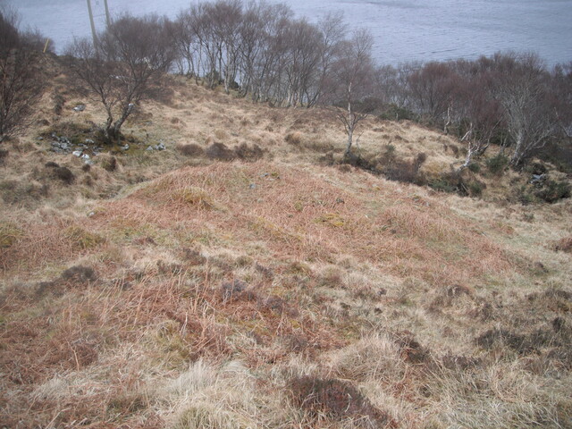 EHG3870_6.JPG