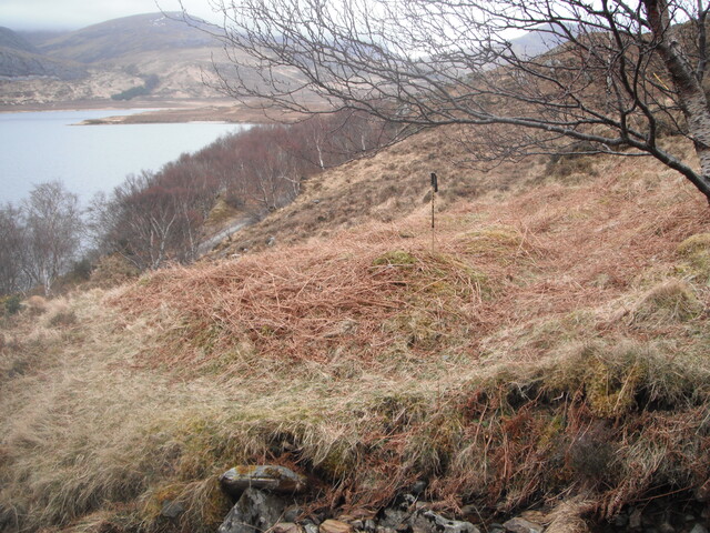 EHG3870_7.JPG