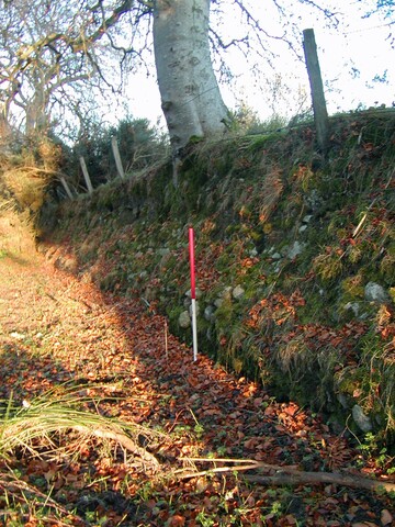EHG4185_P1010155.JPG