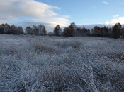 EHG4195_image_03.JPG