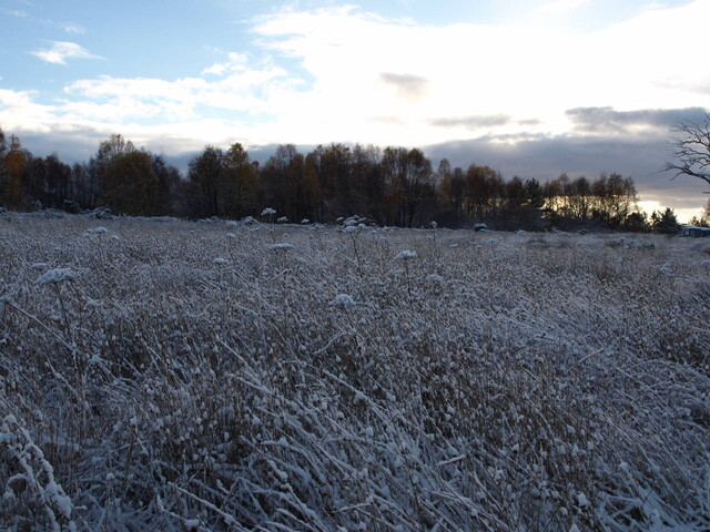 EHG4195_image_04.JPG