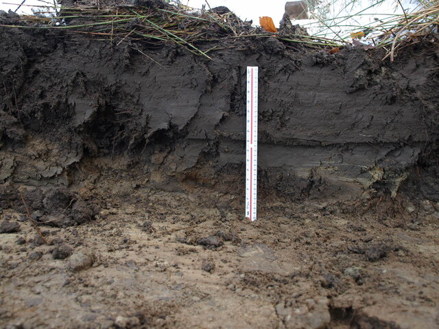 EHG4195_image_18.JPG