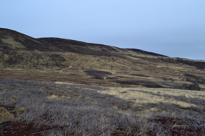 EHG4196_image_01.JPG