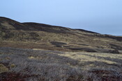 EHG4196_image_01.JPG