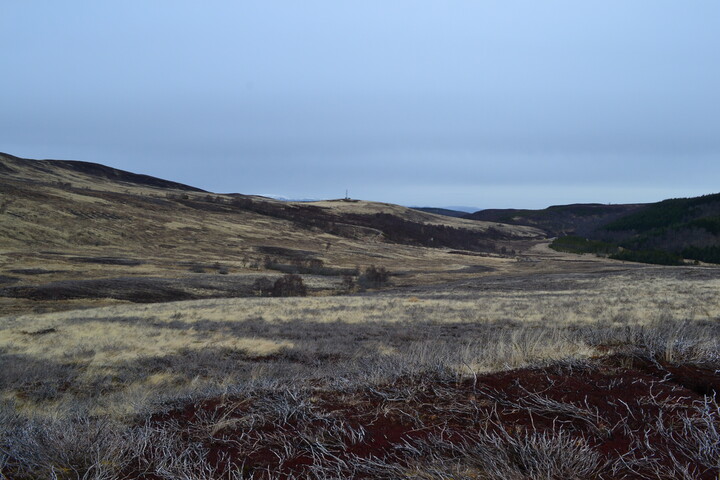 EHG4196_image_02.JPG
