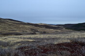 EHG4196_image_02.JPG