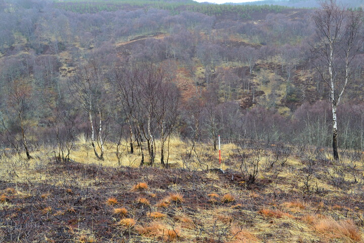 EHG4196_image_15.JPG