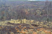 EHG4196_image_15.JPG