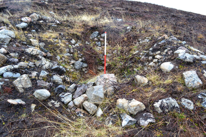 EHG4196_image_20.JPG