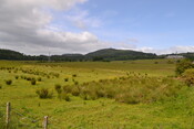 EHG4200_image_01.JPG
