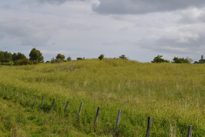 EHG4200_image_02.JPG