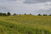EHG4200_image_02.JPG