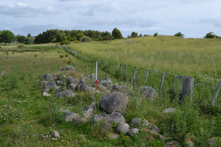 EHG4200_image_03.JPG