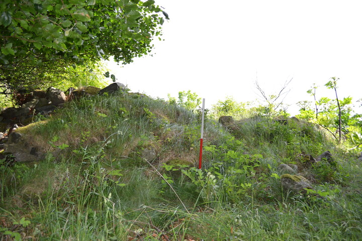 EHG4200_image_05.JPG