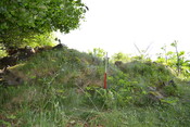 EHG4200_image_05.JPG