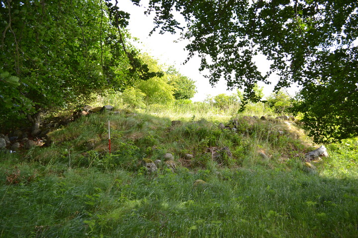 EHG4200_image_06.JPG