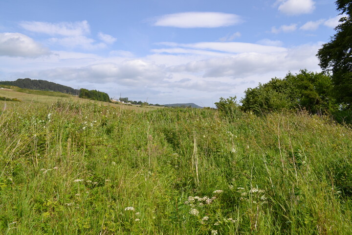 EHG4200_image_07.JPG