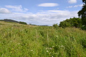 EHG4200_image_07.JPG