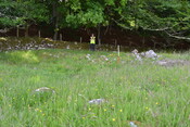 EHG4200_image_08.JPG