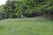 EHG4200_image_11.JPG