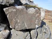 SHG26386_RhuStone1.jpg