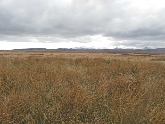 MHG1423_hut circle possible balavreed nd10162 42546.jpg