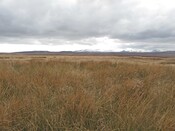 MHG1423_hut circle possible balavreed nd10162 42546.jpg