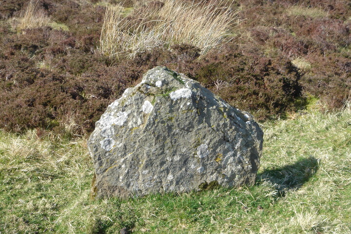 MHG1802_camster standing stone north.JPG