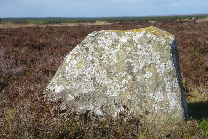 MHG1802_camster standing stone south.JPG