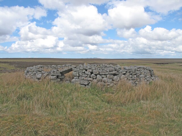 MHG20232_sheep stell innis nam mult.jpg