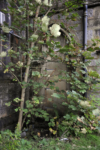 EHG4225_image_35.jpg