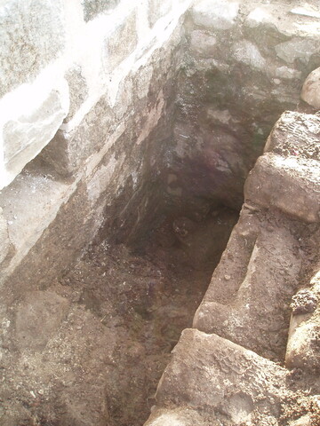 EHG4228_image_12.JPG