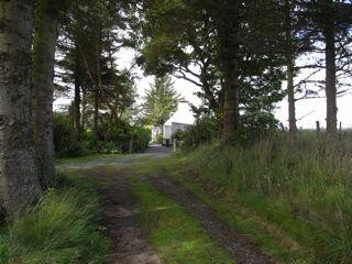 EHG4233_image_03.jpg