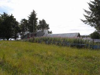 EHG4233_image_13.jpg