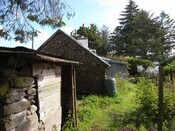 EHG4233_image_19.jpg