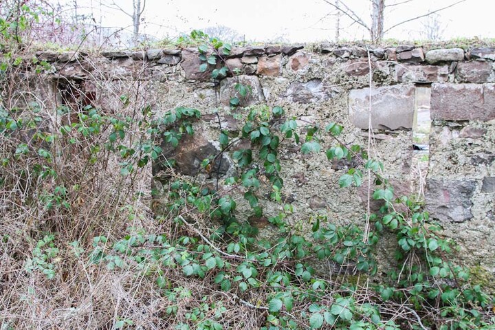 EHG4238_image_12.jpg