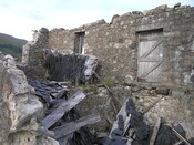 EHG4241_image_03.JPG