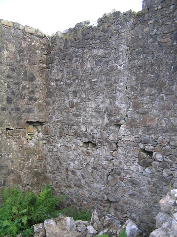EHG4241_image_12.JPG