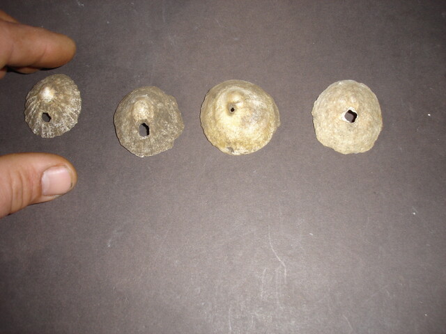 MHG7638_image_01.jpg