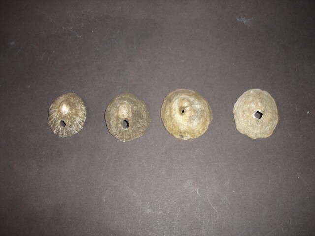 MHG7638_image_02.jpg