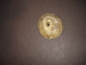 MHG7638_image_03.jpg