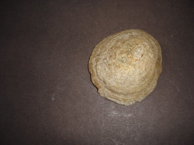 MHG7638_image_05.jpg