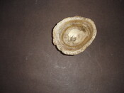 MHG7638_image_06.jpg